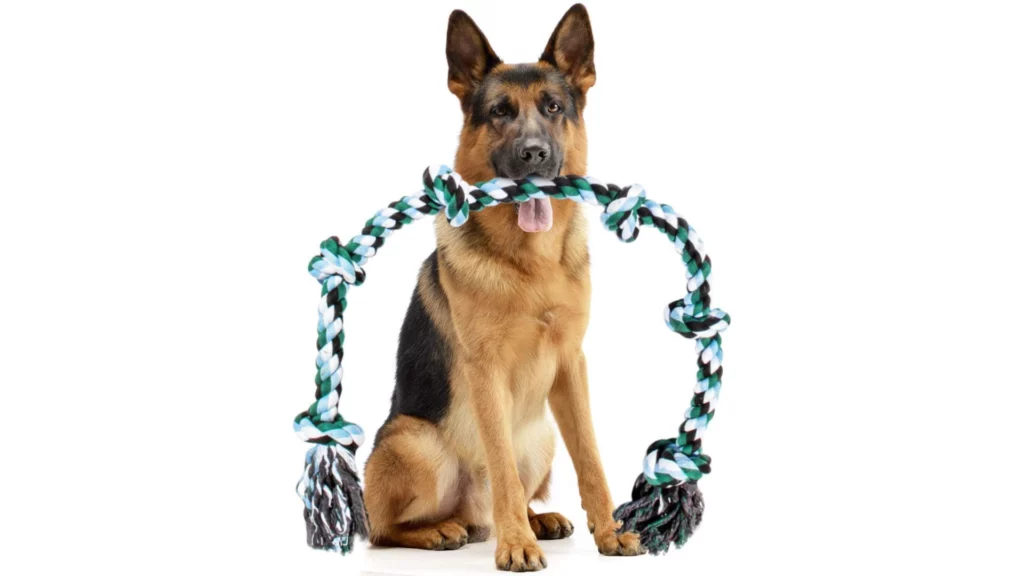 Giant Dog Rope Chew Toys Review