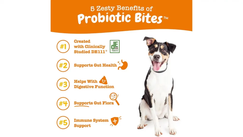 Zesty Paws Probiotics for Dogs Review