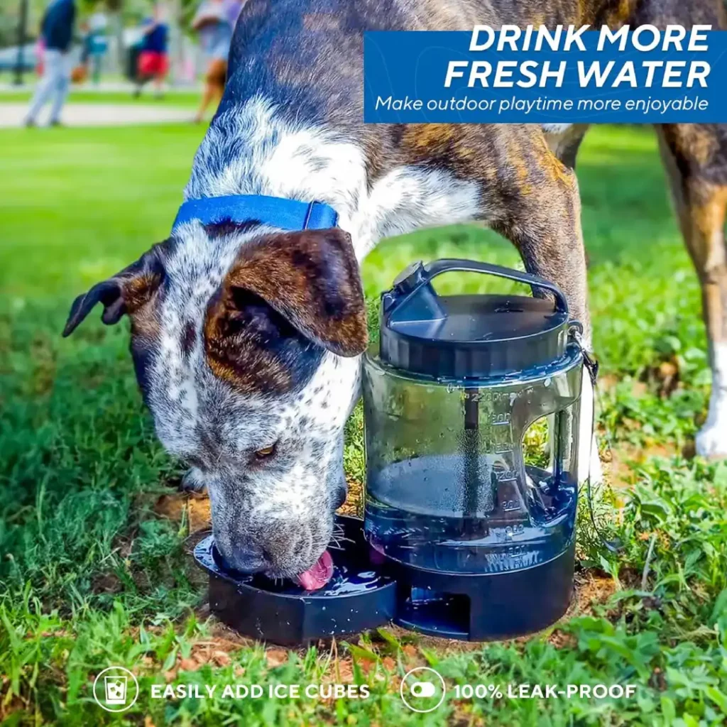 lesotc Dog Water Dispenser Review