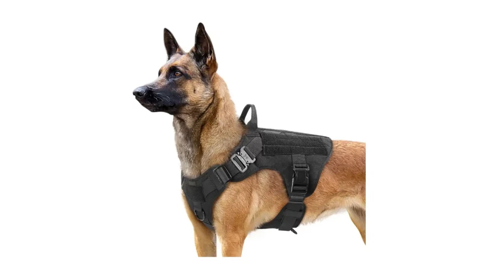 Rabbitgoo Tactical Dog Harness Review
