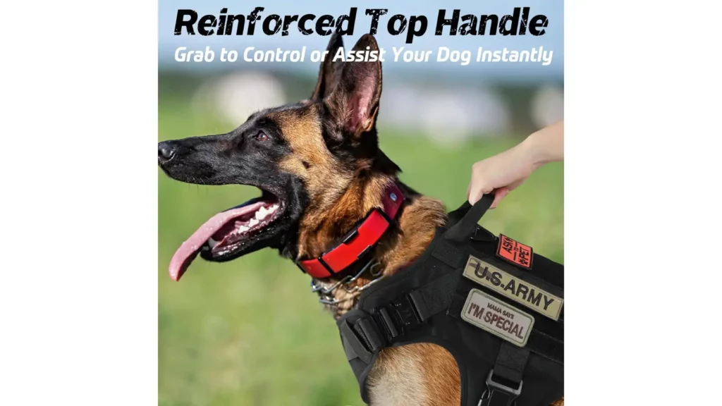 Size Matters (H2):
The rabbitgoo Tactical Dog Harness offers a range of sizes to ensure a perfect fit for your furry companion. Whether you have a small Boston Terrier or a larger Australian Shepherd, you'll find the ideal size to suit your dog's build.

Here are the available sizes:

Small: Perfect for smaller breeds, this size provides a snug and secure fit for dogs like Dachshunds and Puggles.

Medium: The medium size accommodates a wide range of medium-sized dogs, including Bulldogs and Boxers. With adjustable straps, you can fine-tune the fit for comfort and security.

Large: If you have a larger breed like an Australian Shepherd, the large size has got you covered. It offers ample room and adjustability to ensure a comfortable and secure fit.

X-Large: For the largest of breeds, the X-Large size is suitable. It's designed to cater to the needs of big dogs while maintaining the same level of comfort and functionality.