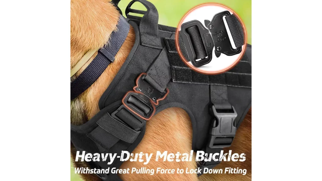 Size Matters (H2):
The rabbitgoo Tactical Dog Harness offers a range of sizes to ensure a perfect fit for your furry companion. Whether you have a small Boston Terrier or a larger Australian Shepherd, you'll find the ideal size to suit your dog's build.

Here are the available sizes:

Small: Perfect for smaller breeds, this size provides a snug and secure fit for dogs like Dachshunds and Puggles.

Medium: The medium size accommodates a wide range of medium-sized dogs, including Bulldogs and Boxers. With adjustable straps, you can fine-tune the fit for comfort and security.

Large: If you have a larger breed like an Australian Shepherd, the large size has got you covered. It offers ample room and adjustability to ensure a comfortable and secure fit.

X-Large: For the largest of breeds, the X-Large size is suitable. It's designed to cater to the needs of big dogs while maintaining the same level of comfort and functionality.